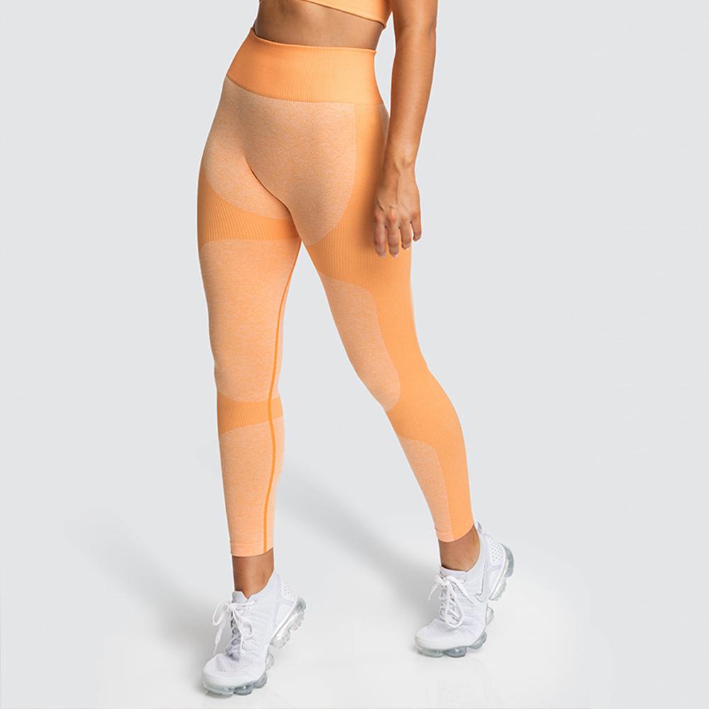 KrissFit Aqua Leggings & Bra